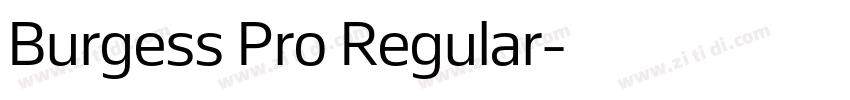 Burgess Pro Regular字体转换 Burgess Pro Regular字体转换